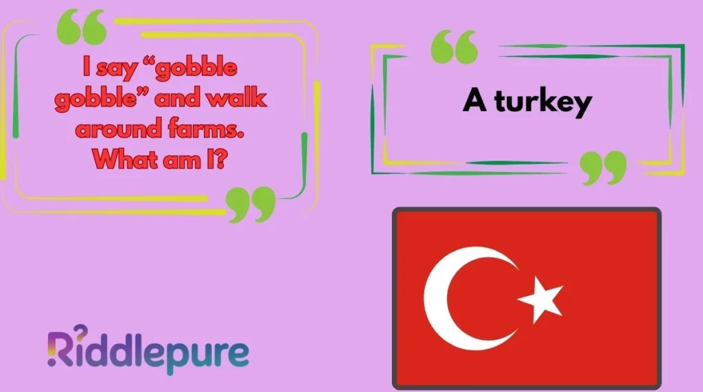 Turkey Riddles for Kids