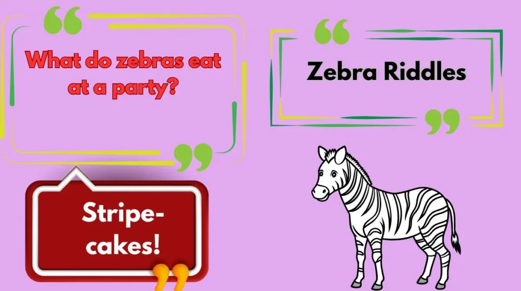 Zebra Riddles