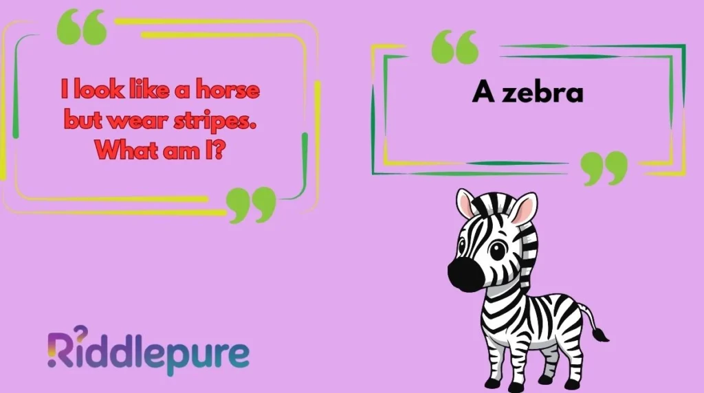 Zebra Riddles for Kids