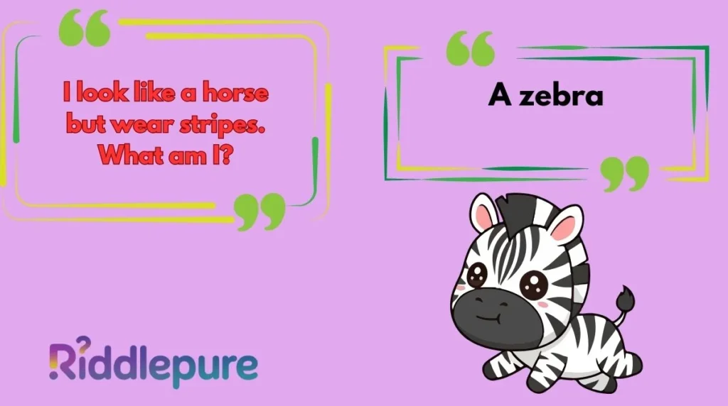 Zebra Riddles with Answers