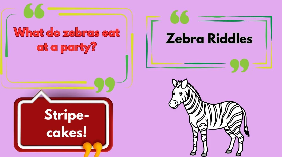 Zebra Riddles