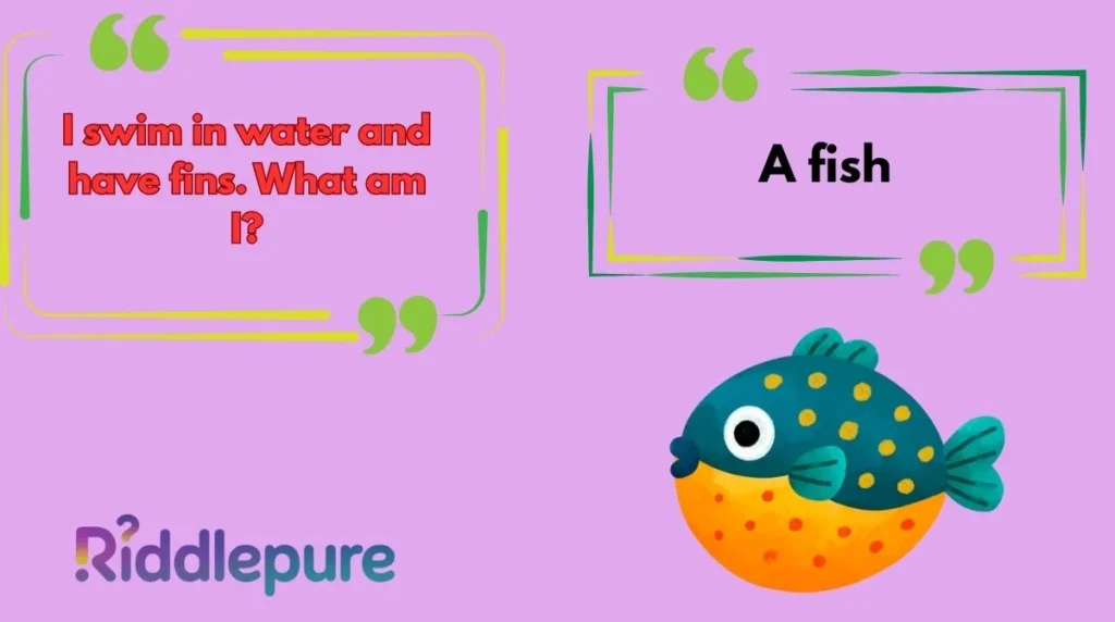 Best Fish Riddles for Kids