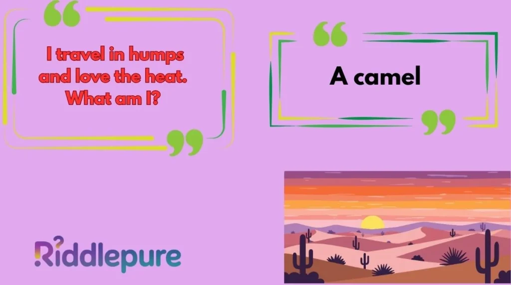 Desert Themed Riddles