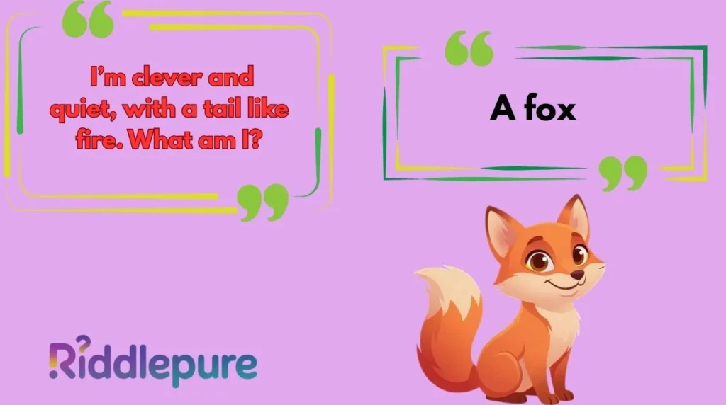 Fox Riddles for Adults