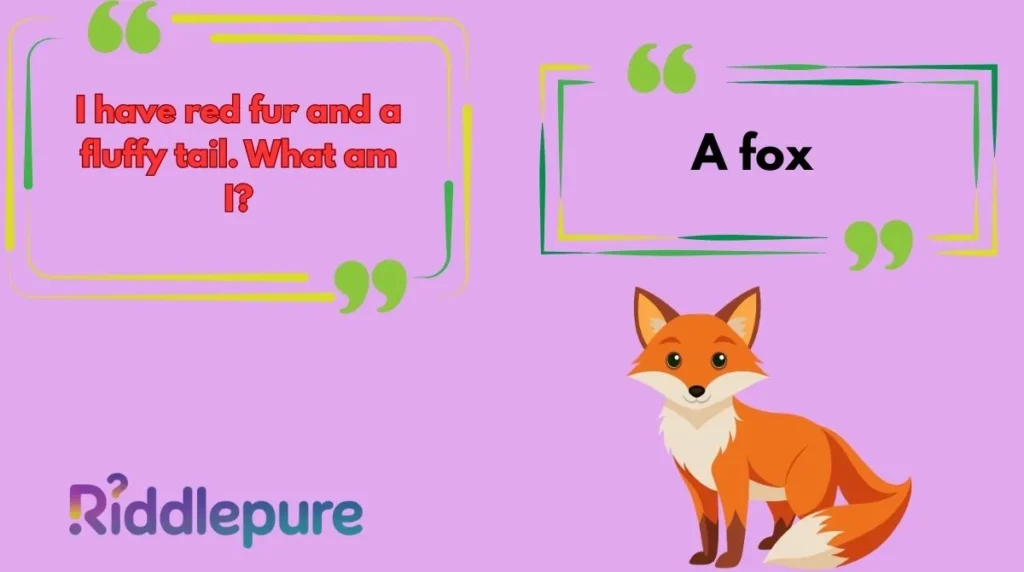 Fox Riddles for Kids