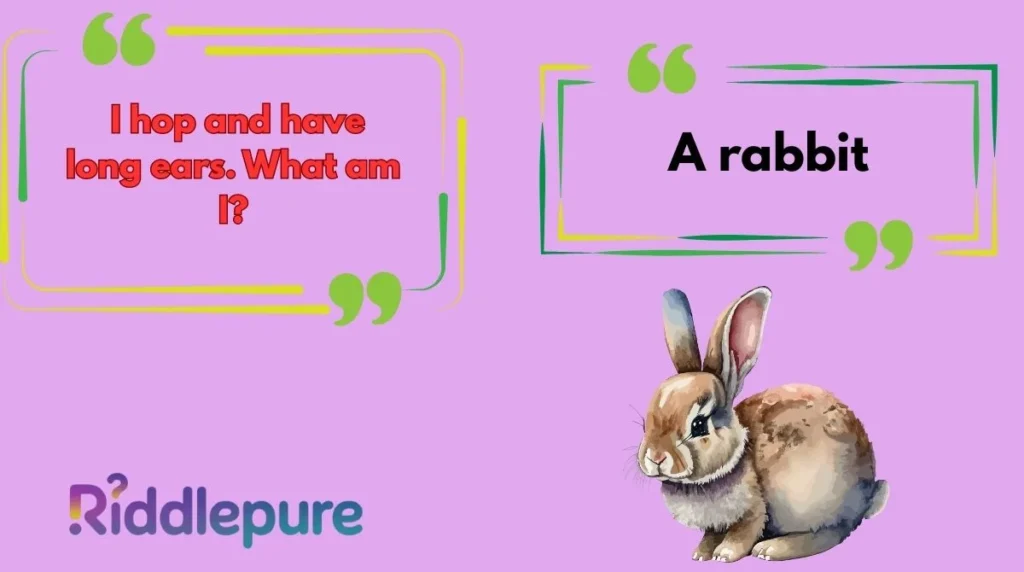 Rabbit Riddles for Kids