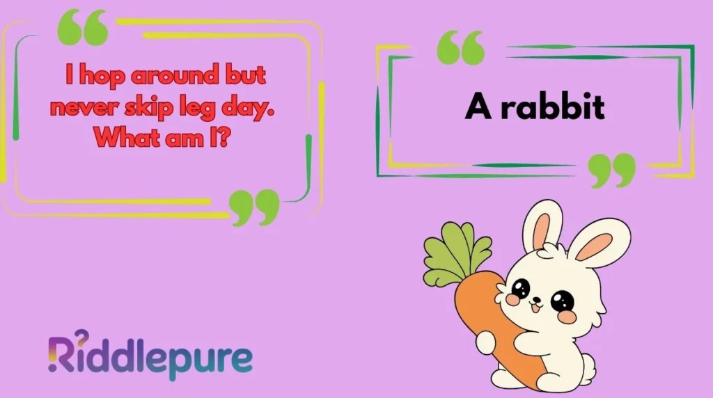 Rabbit Riddles Funny