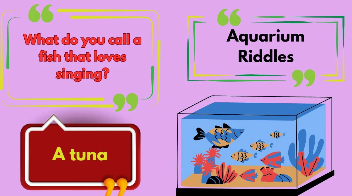 Aquarium Riddles