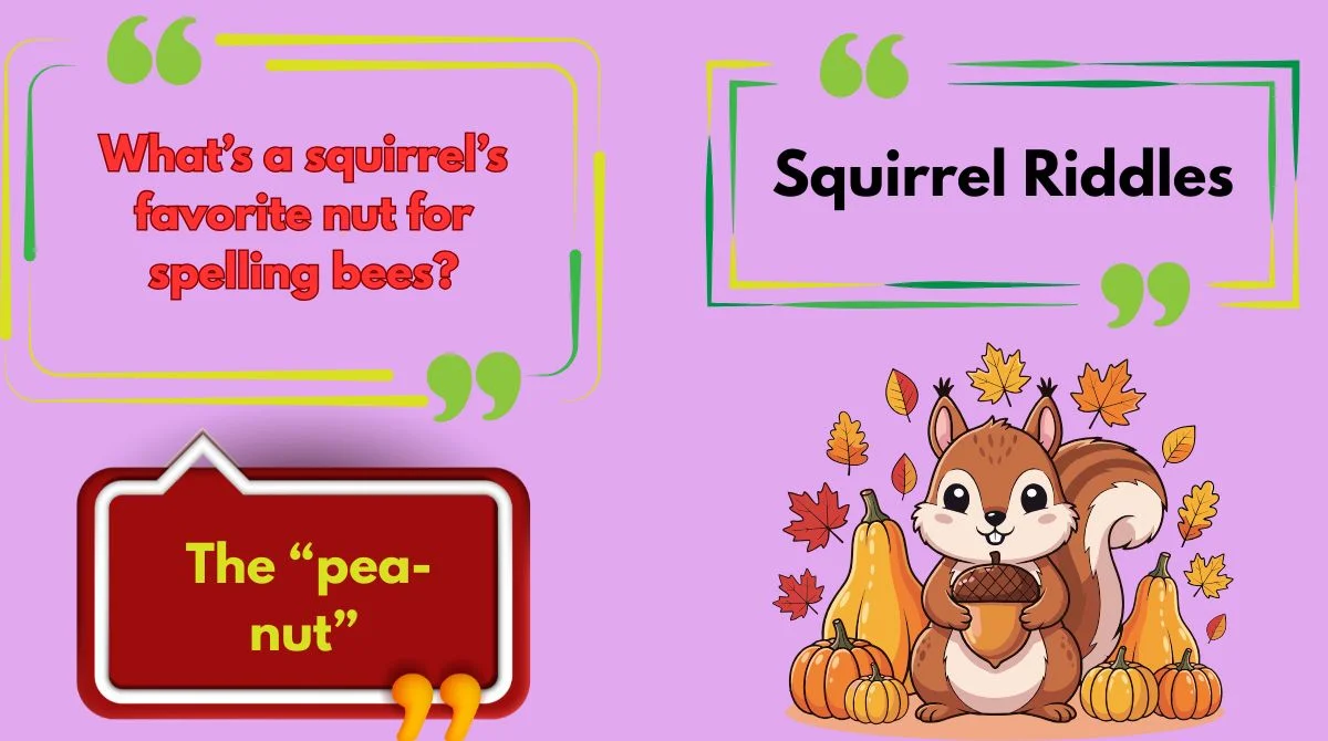 Squirrel Riddles