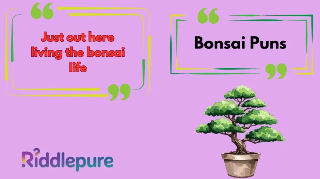 Bonsai Puns