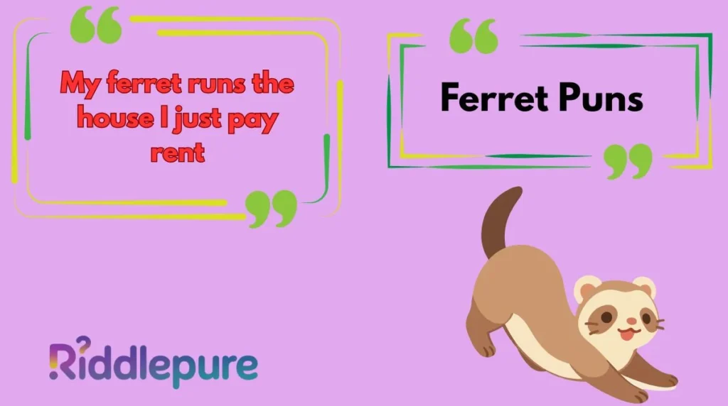 Ferret Puns