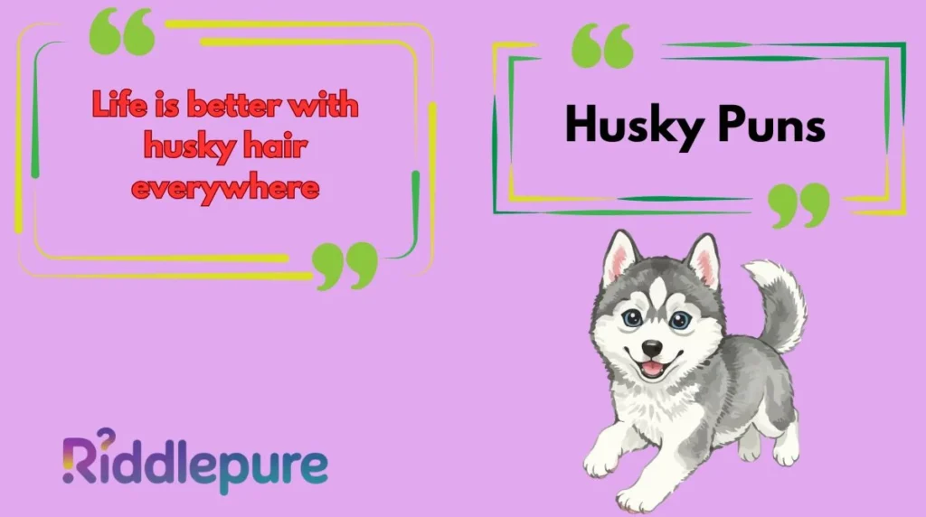 Husky Puns
