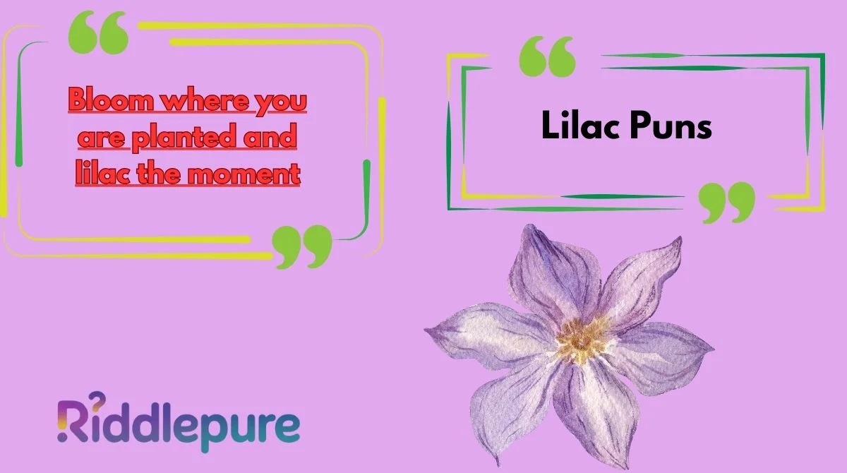 Lilac Puns