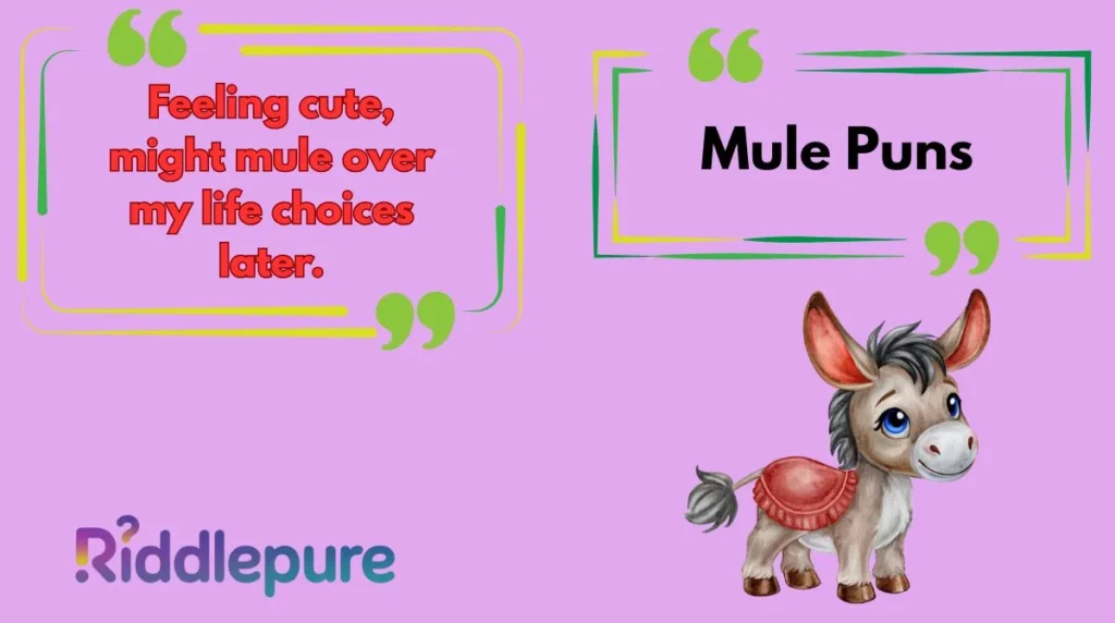 Mule Puns