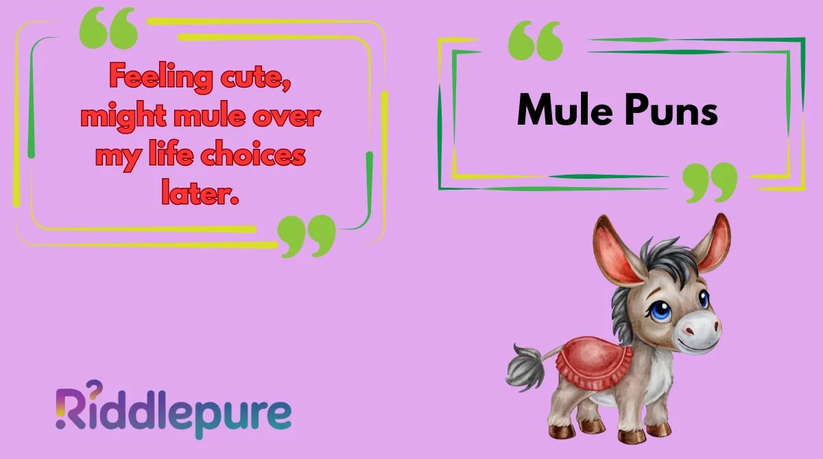 Mule Puns