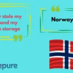 Norway Puns