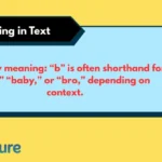 b Meaning in Text