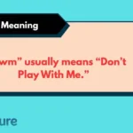 dpwm Meaning
