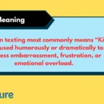 KM Meaning