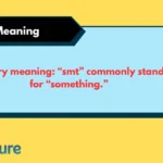 smt Meaning
