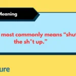 stsu Meaning