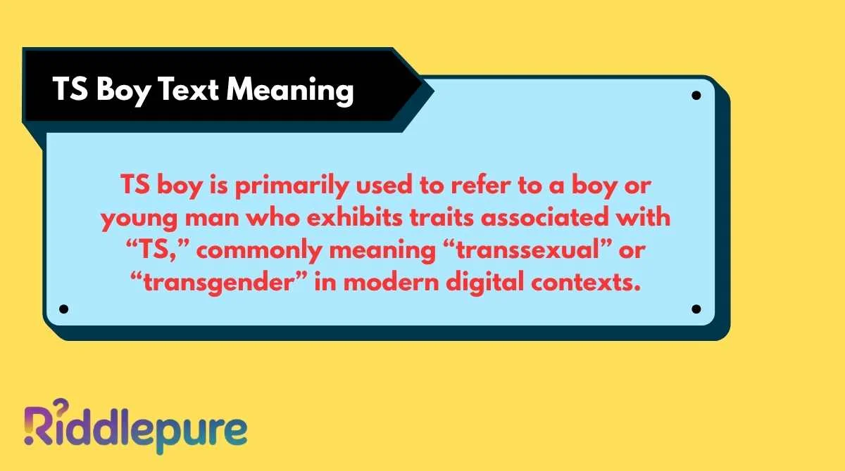 TS Boy Text Meaning