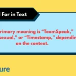 TS Stand For in Text