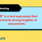 XD Meaning