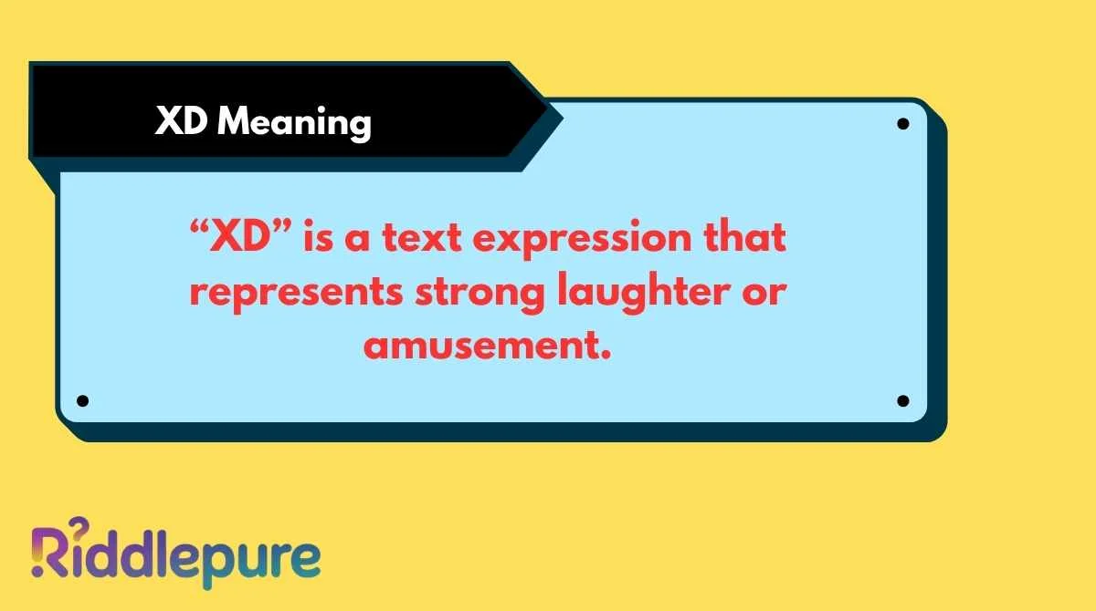 XD Meaning