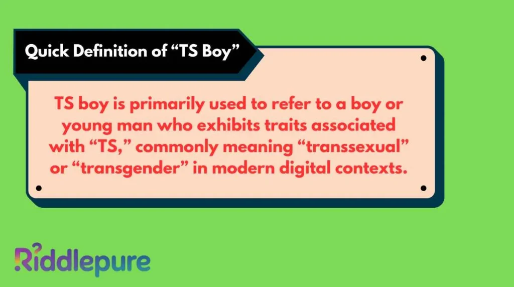 Quick Definition of “TS Boy”